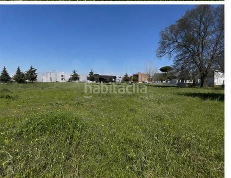Foto 571c1e9a-e0af-46c1-8174-35e1b7b1f32f. Terreny residencial a Griñón