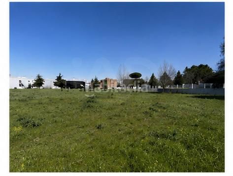 Foto e584eaf6-f051-42ec-a0ad-09cccd7856d8. Terreny residencial a Griñón