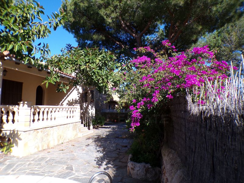 Foto 06bf7c58-ebfe-4346-842c-566638a7b6c7. Casa amb aparcament piscina a Cala Llombards Santanyí
