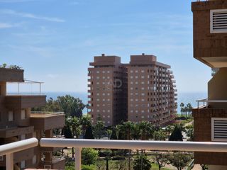 Pis  Avenida central 38