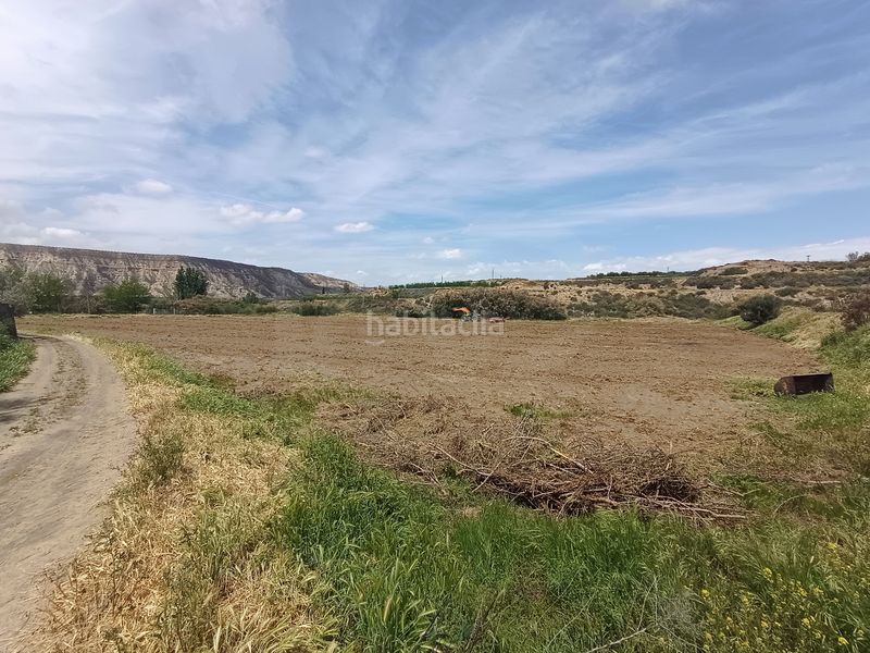 Foto 05739a01-4606-481e-930e-39c46c5140f2. Finca rústica a Fonelas