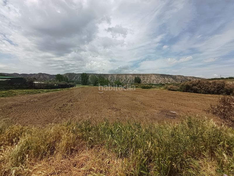 Foto 4178a931-36fa-4190-bd2a-7ce3ee8ed8c0. Finca rústica a Fonelas