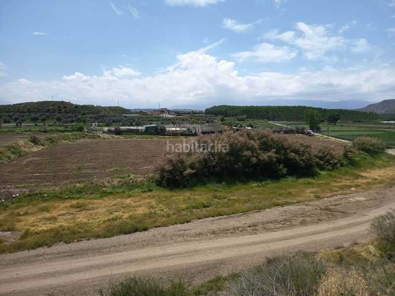 Foto 46ba9abc-40e5-442a-8bae-4558f2f151d5. Finca rústica a Fonelas