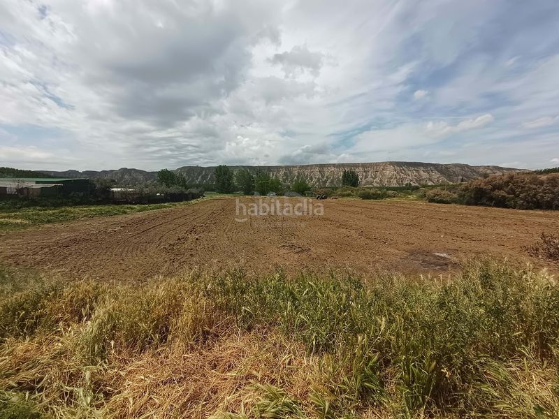 Foto 5bc3db9b-5694-49b0-a777-2ae1d63a5c4a. Finca rústica a Fonelas