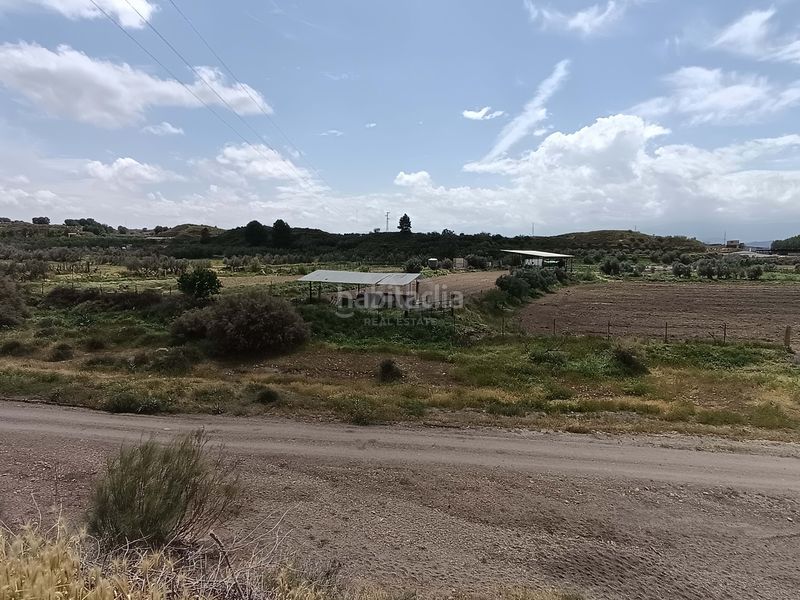 Foto 69a41748-cc66-426f-b2b5-7842a621388d. Finca rústica a Fonelas