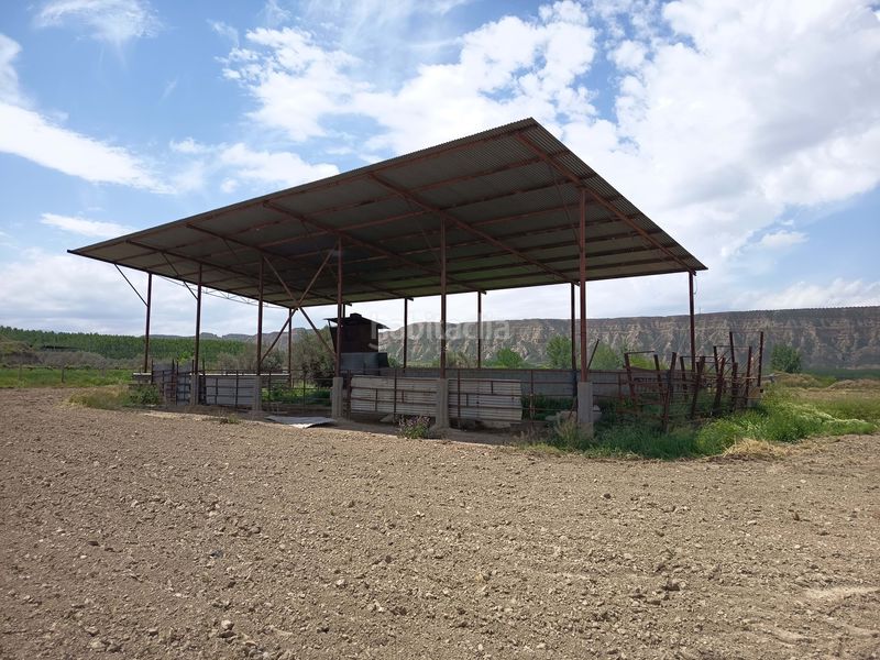 Foto a61b528e-ab65-4dff-a148-08e68eaea8a6. Finca rústica a Fonelas