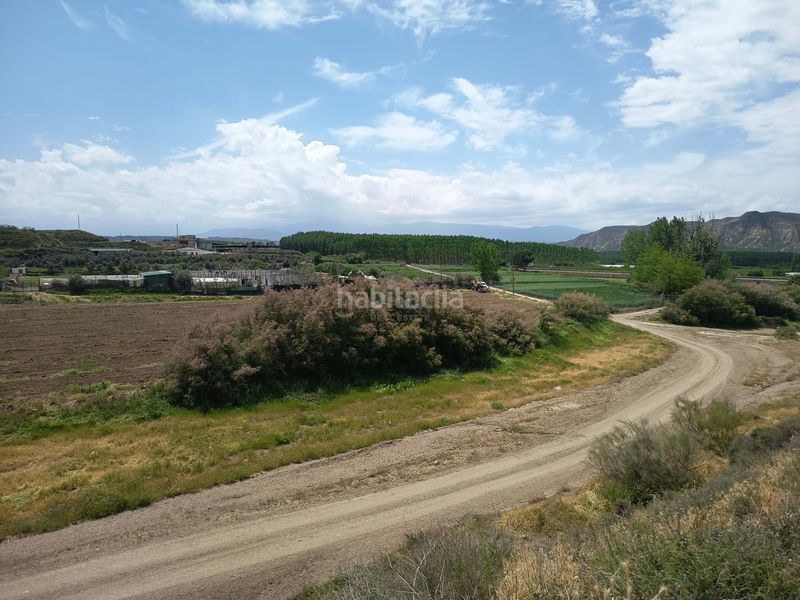 Foto ba803b94-0f22-4865-aec6-53148a003a61. Finca rústica a Fonelas