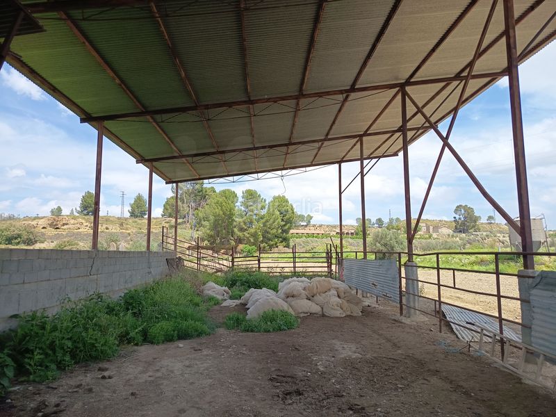 Foto c1c6fdd2-7875-43c7-ab89-b6f52f641897. Finca rústica a Fonelas