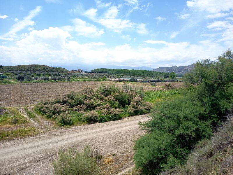 Foto 1a1a6bc6-1fa5-4f73-9d8a-fd2bc6fd6ff3. Finca rústica en Fonelas