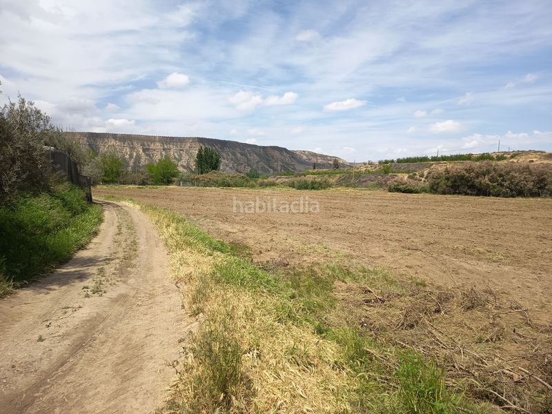 Foto 7d2626c9-d277-4d74-88fa-d9d0cf6de5e5. Finca rústica en Fonelas
