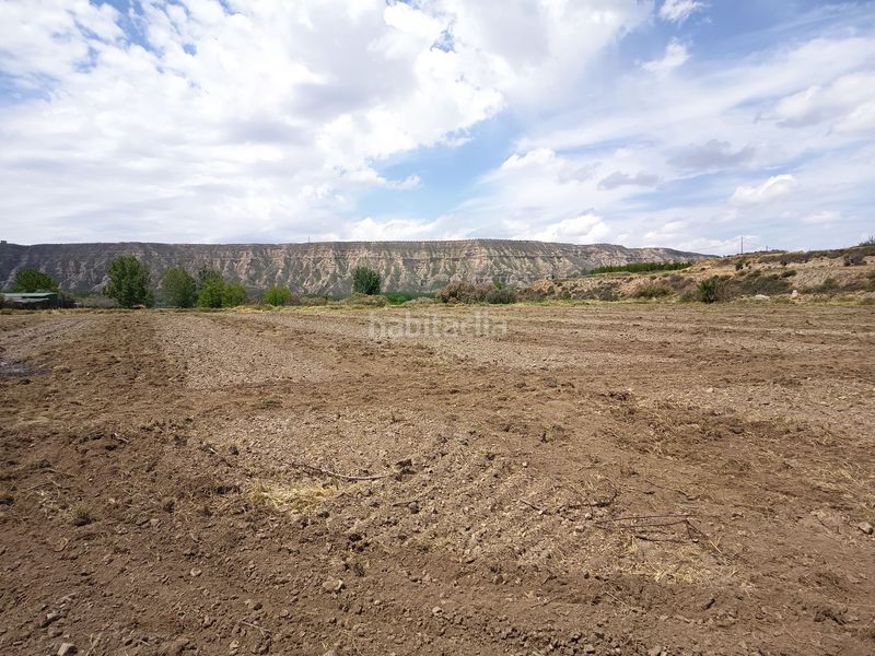 Foto b56b73a9-99c5-46ab-8494-95acae4c7fc4. Finca rústica en Fonelas