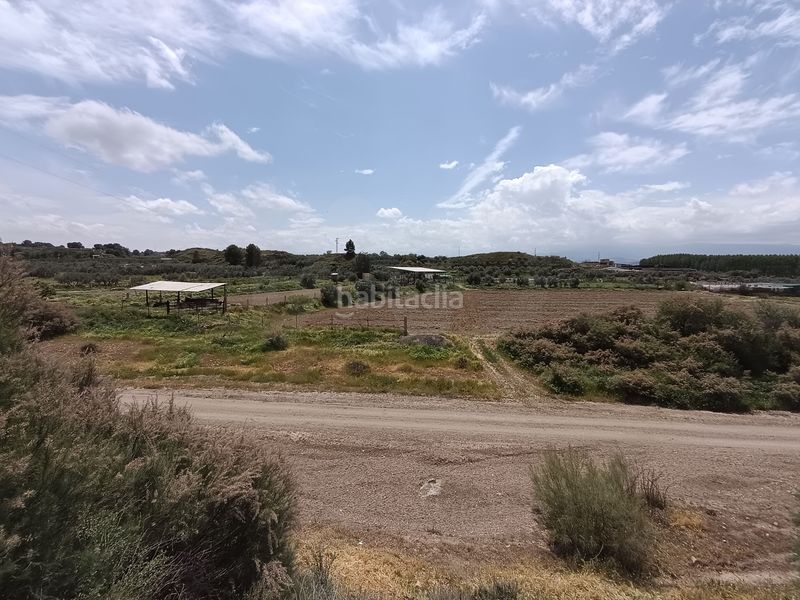 Foto bf0690c0-ba97-4955-a712-44a03d5a4368. Finca rústica en Fonelas