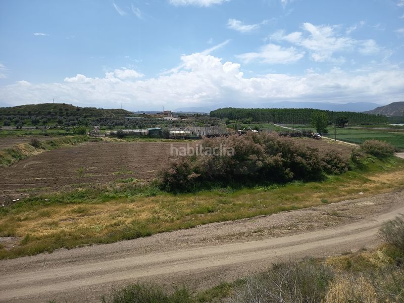 Foto ca7381c8-d978-43d9-b9de-8a8dbd9263fb. Finca rústica en Fonelas
