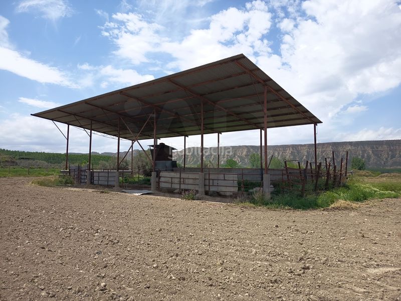 Foto d290b280-123b-4c33-b457-f0d3ce88a129. Finca rústica en Fonelas