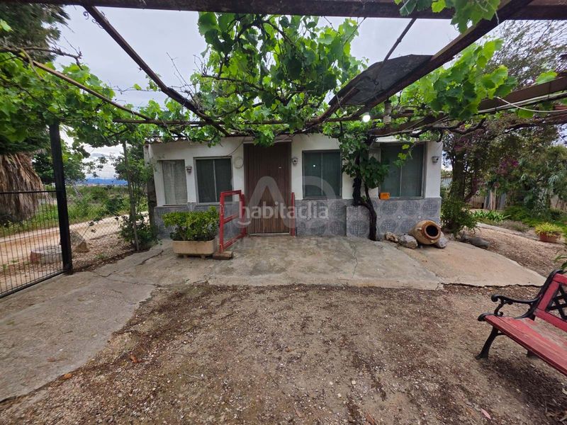Foto 028fc524-40d0-44cb-9cde-646a4d31c986. Finca rústica a Eucaliptus - Poble Nou del Delta Amposta