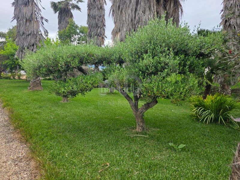 Foto 2d4950a3-fb16-4445-97a0-103a58e32b3e. Finca rústica a Eucaliptus - Poble Nou del Delta Amposta