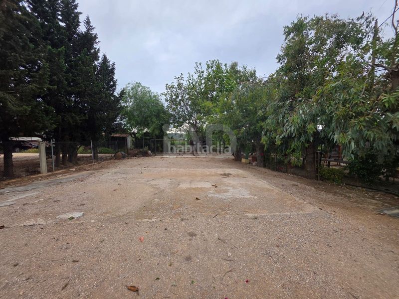 Foto 41928ec5-bcc8-4ef9-971f-57aed6608dde. Finca rústica a Eucaliptus - Poble Nou del Delta Amposta