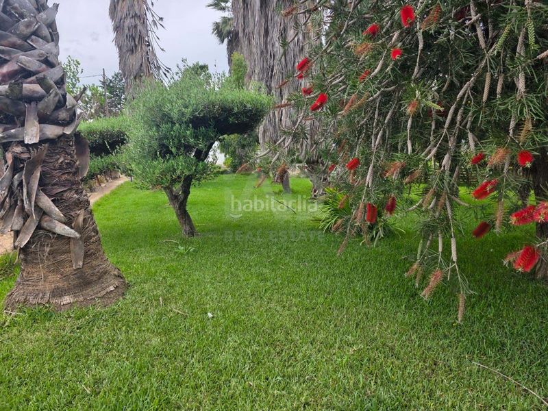 Foto 8a2fcdff-3088-4978-bd84-8bf2a8ba4c78. Finca rústica a Eucaliptus - Poble Nou del Delta Amposta