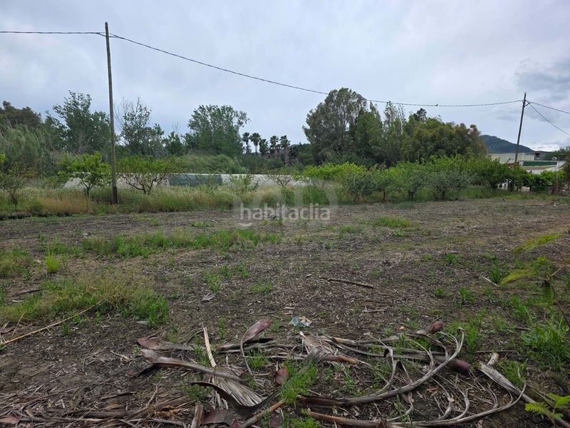 Foto c7a6f891-03b0-4541-a0e8-580bf0504616. Finca rústica a Eucaliptus - Poble Nou del Delta Amposta
