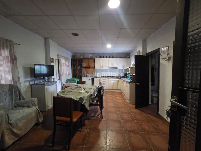 Foto e79351a7-1388-47db-955a-f4618490e8d1. Finca rústica a Eucaliptus - Poble Nou del Delta Amposta