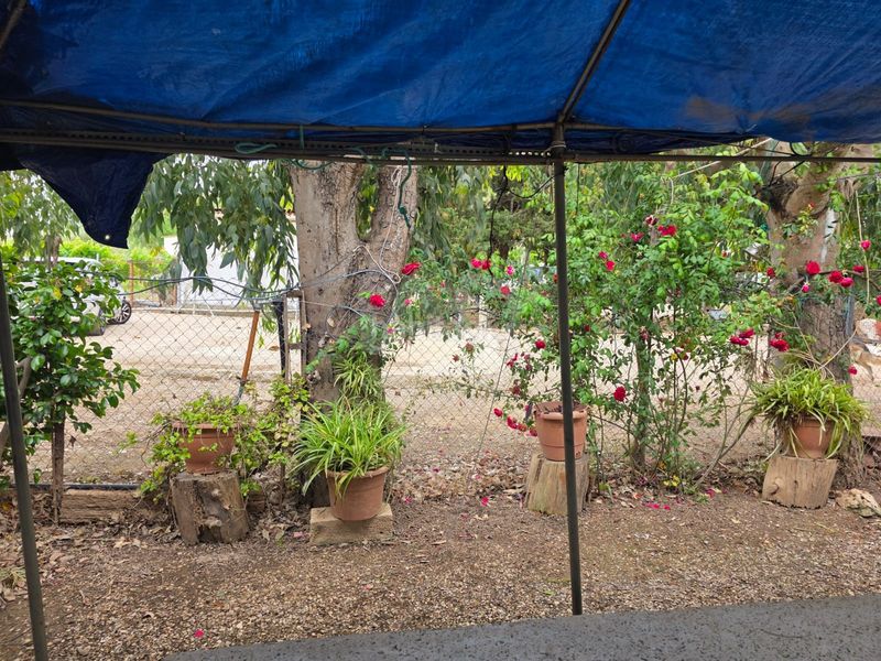 Foto fe3e6bc0-b3d0-4852-a6a6-9e1152d48c00. Finca rústica a Eucaliptus - Poble Nou del Delta Amposta