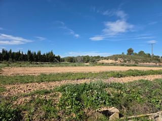 Finca rústica a Calasparra