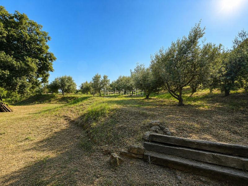 Foto a285a91c-c6dd-4820-a538-6099badedfa8. Casa amb calefacció piscina a Sant Llorenç Terrassa