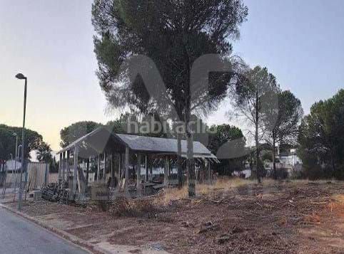 Foto 282e11ba-87c8-4ee5-96d6-1c0352f9b3d5. Casa a Dehesa - Monacilla Aljaraque