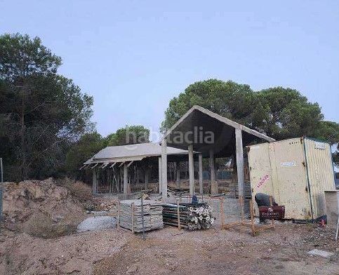 Foto 3e10b142-f3c1-4eba-bc3f-668545be206b. Casa a Dehesa - Monacilla Aljaraque