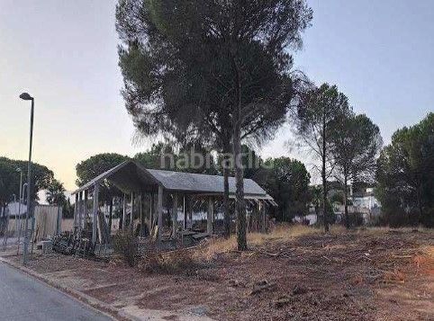Foto d4cefb4e-ce8f-4b3f-ba2b-73b5a28b5545. Casa a Dehesa - Monacilla Aljaraque