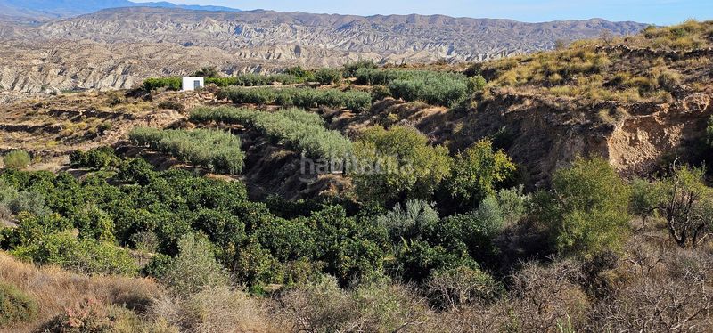 Foto 0fec569d-2e47-4742-b98b-73803ab60e5c. Finca rústica a Bentarique
