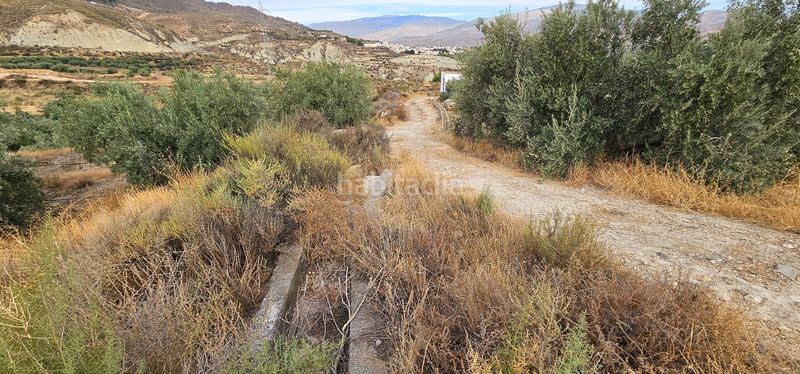 Foto 94d37857-760d-4aa4-b010-ef7f0918487f. Finca rústica a carretera a-348 a Bentarique