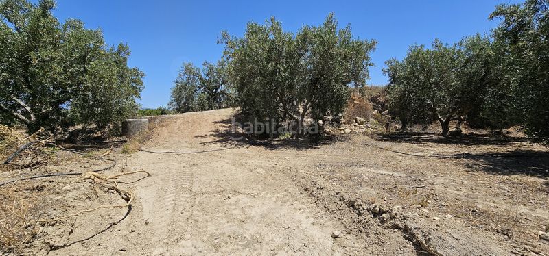 Foto ca466c95-f650-4717-ab89-4608adb74be2. Finca rústica a carretera a-348 a Bentarique