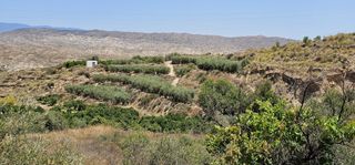 Finca rústica a Carretera a-348