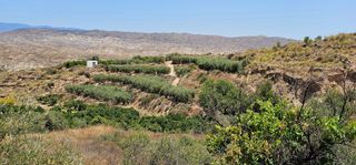 Finca rústica  Carretera a-348