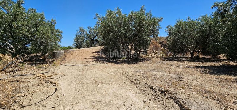 Foto 8429698f-e8f3-4d9e-a562-2f734d24a795. Finca rústica en Bentarique