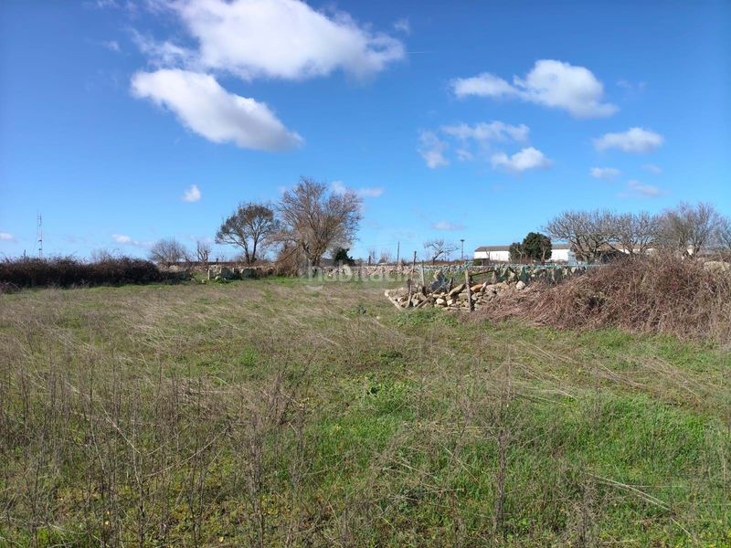 Foto 56257536-45b3-486d-9d68-49f41a026e68. Finca rústica a Vitigudino