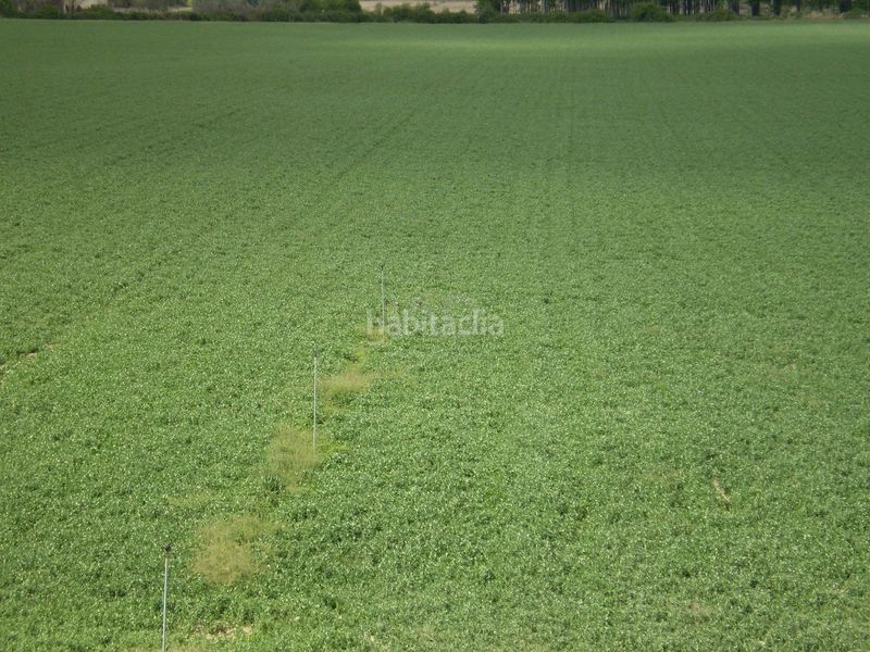 Foto cf8ee6df-3108-4e95-b555-ec4ed6626bdc. Finca rústica a Lucillos