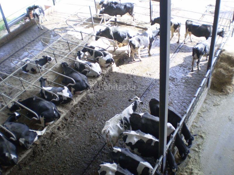 Foto ea7764c0-5d64-4613-8910-0b8ee04d83fa. Finca rústica a Lucillos