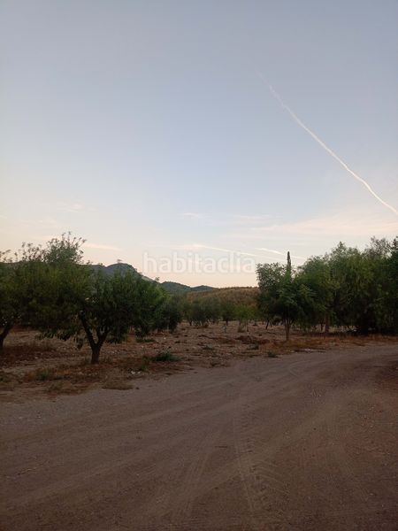 Foto 1f99c769-6d10-4121-9b60-7818714b0138. Masia amb aparcament a Pozo Higuera Lorca
