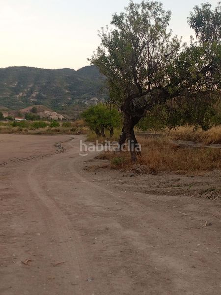 Foto 5388a1f6-e3a7-4eae-8895-e97442871847. Masia amb aparcament a Pozo Higuera Lorca