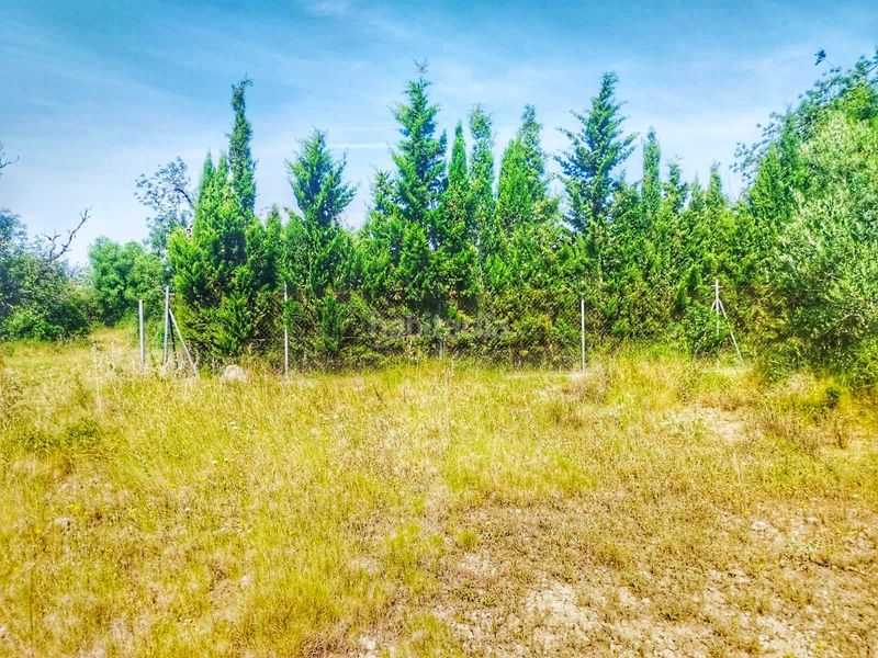 Foto 12a4946b-e098-4056-a5d2-b6b8fffd2115. Finca rústica a Roquetes