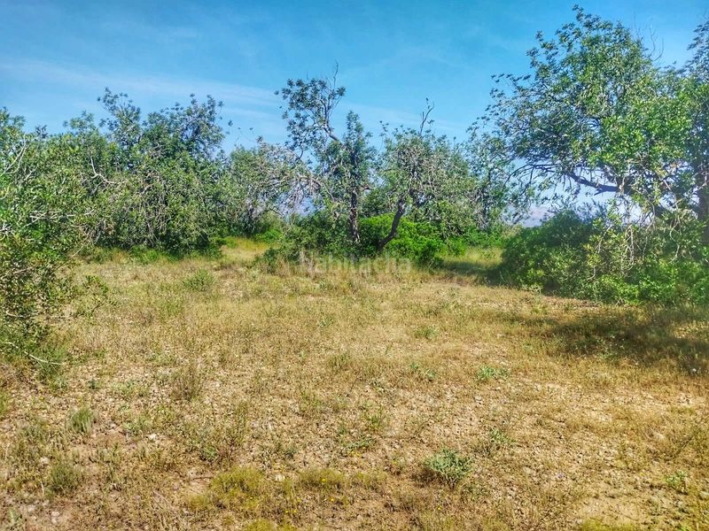 Foto 433d8393-77ae-4e92-b833-55f78ab860b3. Finca rústica a Roquetes