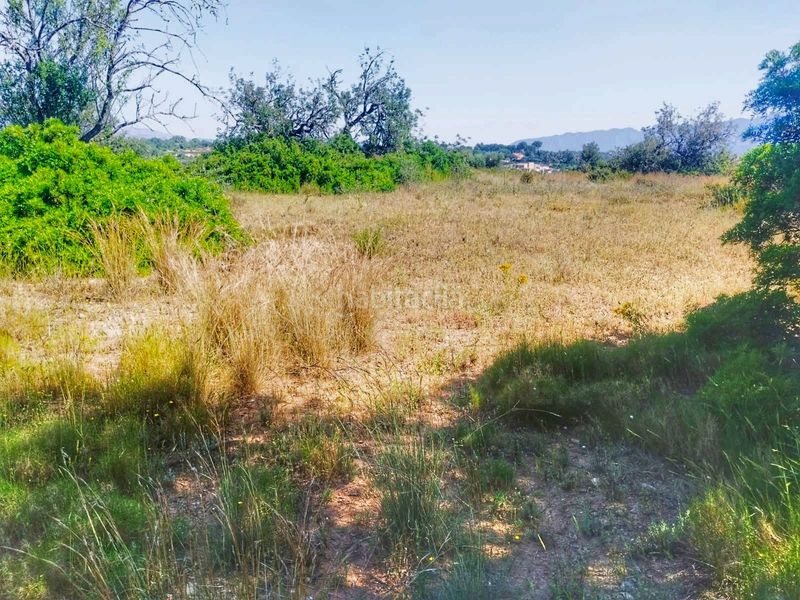 Foto 52a5c512-48ce-464a-8e2d-f22536c29d88. Finca rústica a Roquetes