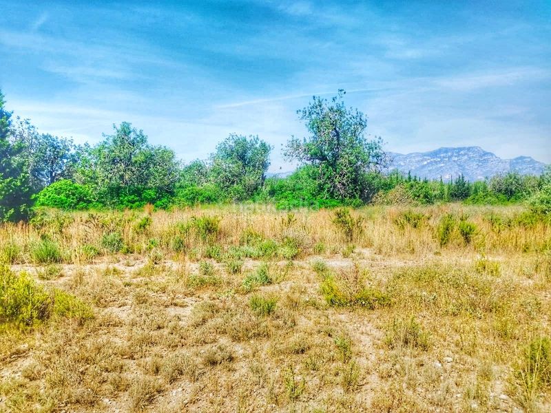 Foto a6e901ef-3909-4307-86e7-c9ba7634824e. Finca rústica a Roquetes