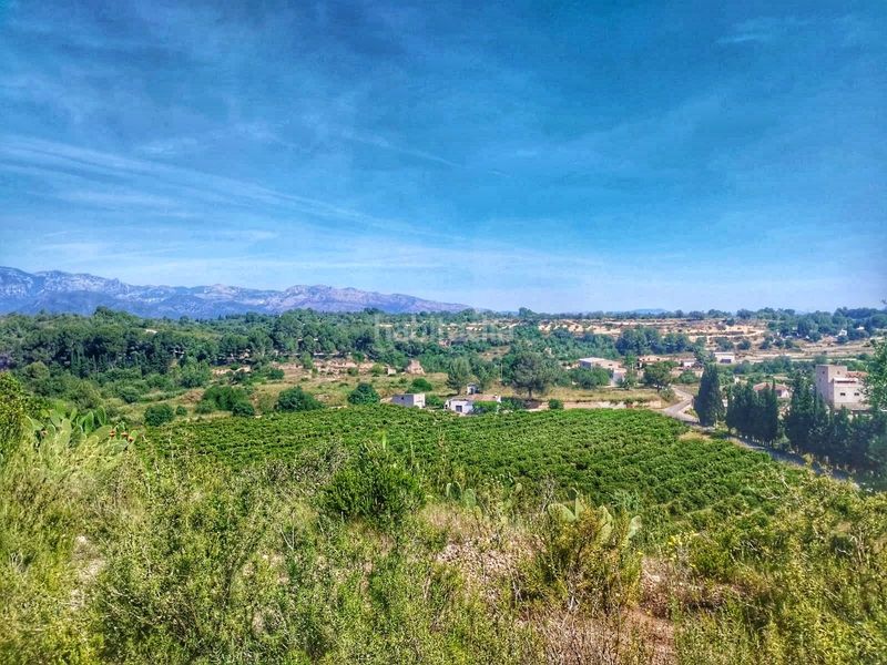 Foto aa186792-d2f6-4fb1-afe3-f205e849acc6. Finca rústica a Roquetes
