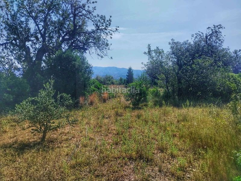 Foto f58a0560-4fa5-4c35-8789-b7d4c6091c52. Finca rústica a Roquetes