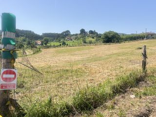 Residential Plot in Pillarno