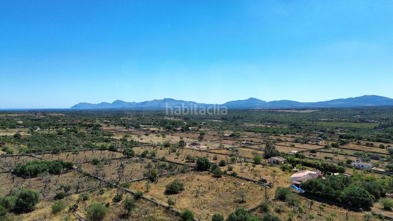 Foto 1191f6ac-e390-406f-8df7-6629e5173314. Finca rústica a Santa Margalida poble Santa Margalida