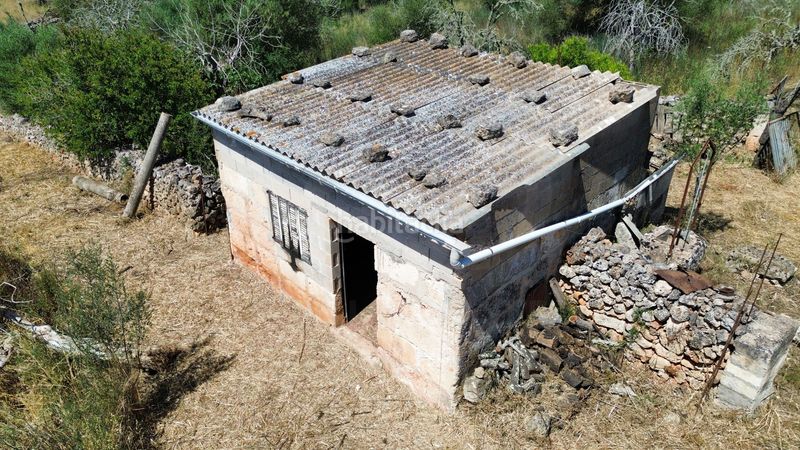 Foto 1c9fe0f9-a0ff-4561-8e7f-fb6ee2085305. Finca rústica a Santa Margalida poble Santa Margalida